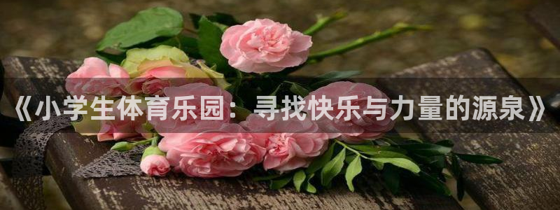 《小学生体育乐园：寻找快乐与力量的源泉》