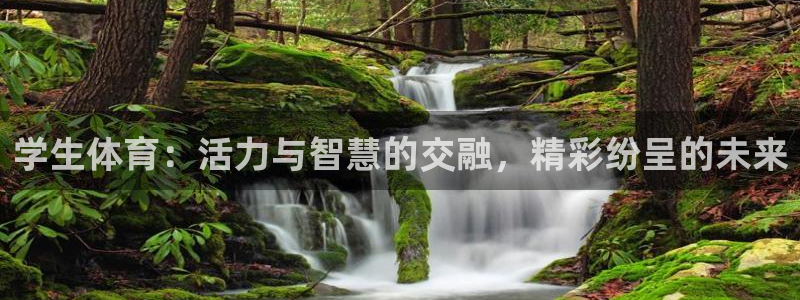 学生体育：活力与智慧的交融，精彩纷呈的未来