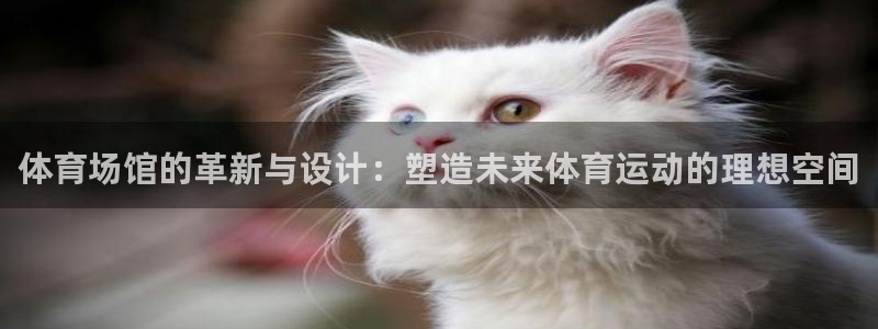 体育场馆的革新与设计：塑造未来体育运动的理想空间