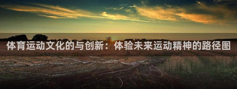 体育运动文化的与创新：体验未来运动精神的路径图