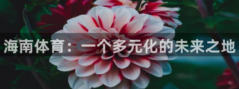 海南体育：一个多元化的未来之地