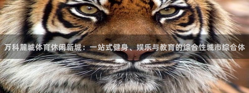 万科麓城体育休闲新城：一站式健身、娱乐与教育的综合性城市综合体
