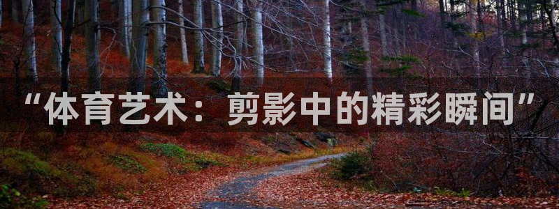 “体育艺术：剪影中的精彩瞬间”