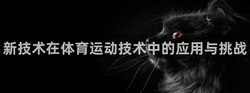 新技术在体育运动技术中的应用与挑战