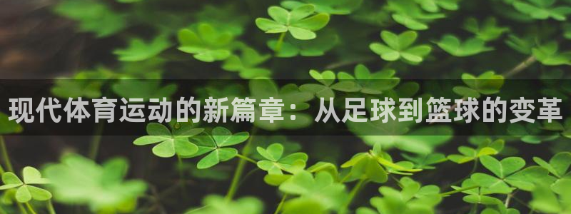 现代体育运动的新篇章：从足球到篮球的变革