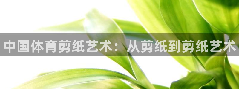 中国体育剪纸艺术：从剪纸到剪纸艺术