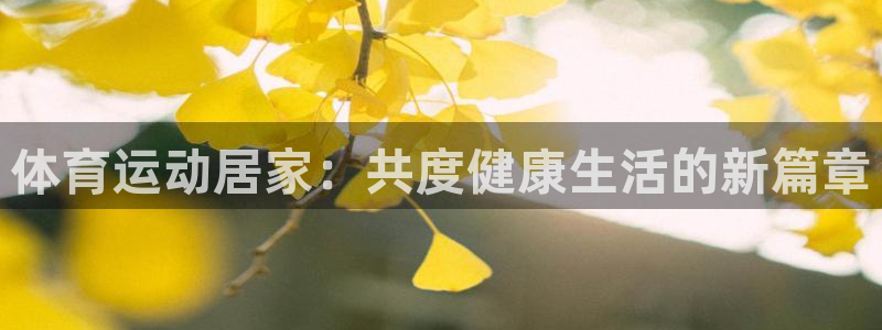 体育运动居家：共度健康生活的新篇章