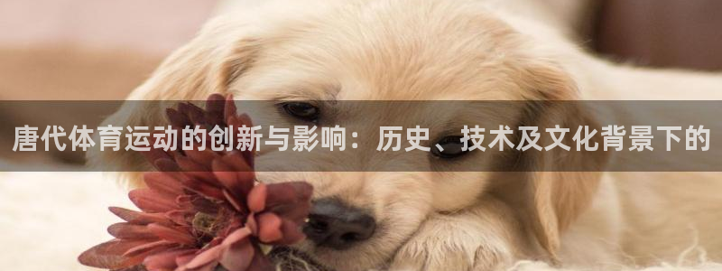 唐代体育运动的创新与影响：历史、技术及文化背景下的