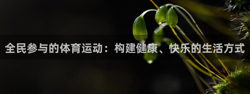 全民参与的体育运动：构建健康、快乐的生活方式