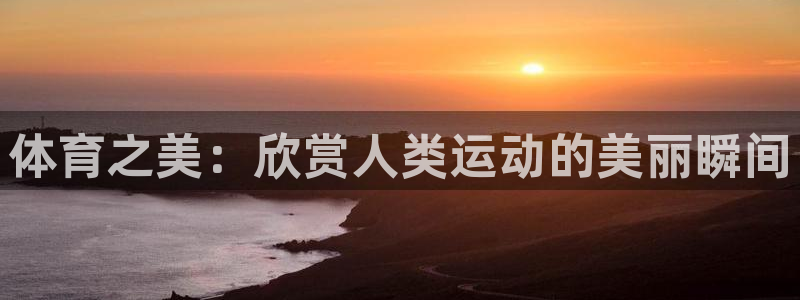 体育之美：欣赏人类运动的美丽瞬间