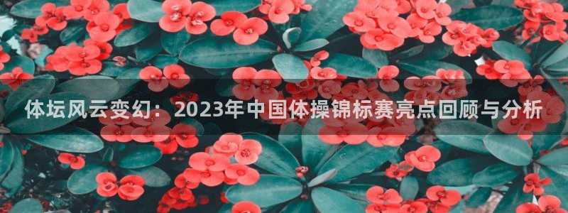 体坛风云变幻：2023年中国体操锦标赛亮点回顾与分析