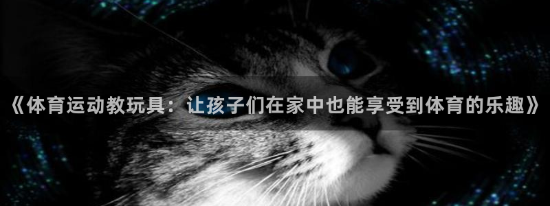 《体育运动教玩具：让孩子们在家中也能享受到体育的乐趣》