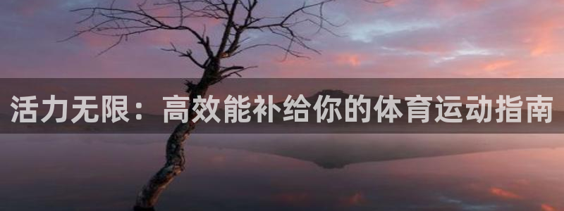 活力无限：高效能补给你的体育运动指南