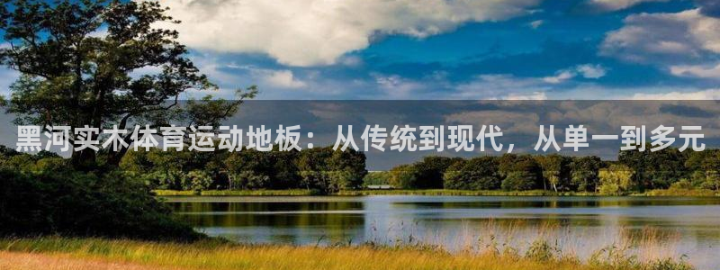 黑河实木体育运动地板：从传统到现代，从单一到多元