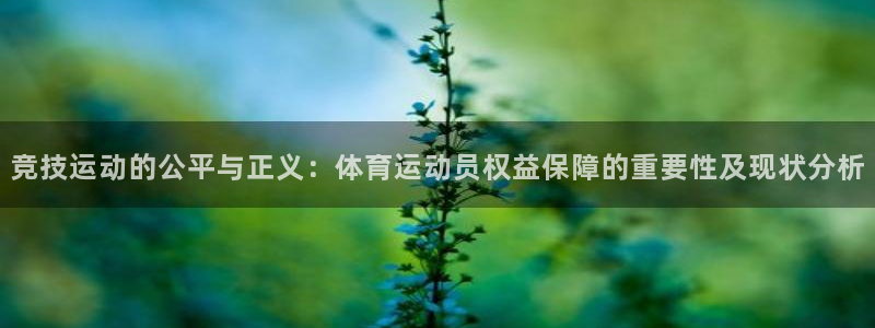 竞技运动的公平与正义：体育运动员权益保障的重要性及现状分析
