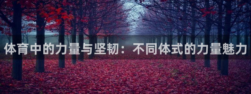 体育中的力量与坚韧：不同体式的力量魅力
