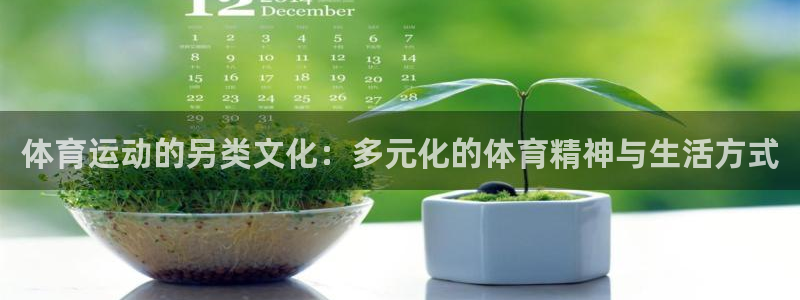 体育运动的另类文化：多元化的体育精神与生活方式