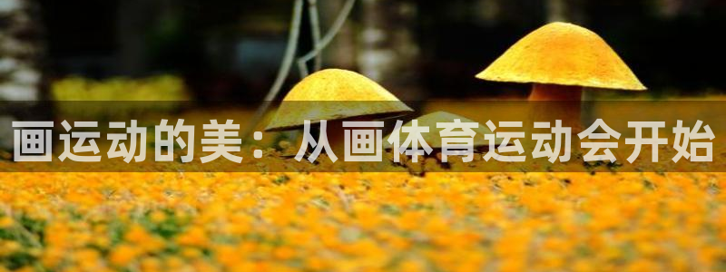 画运动的美：从画体育运动会开始