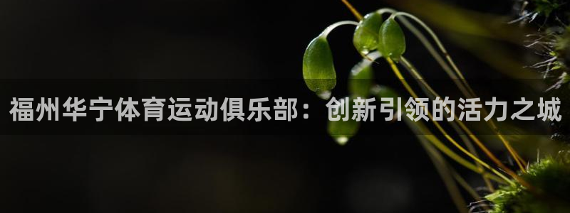 福州华宁体育运动俱乐部：创新引领的活力之城