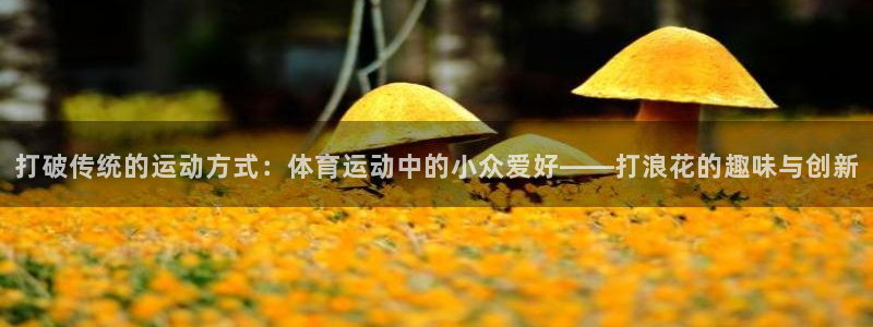 打破传统的运动方式：体育运动中的小众爱好——打浪花的趣味与创新